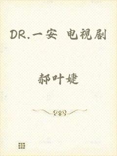 DR.一安 电视剧